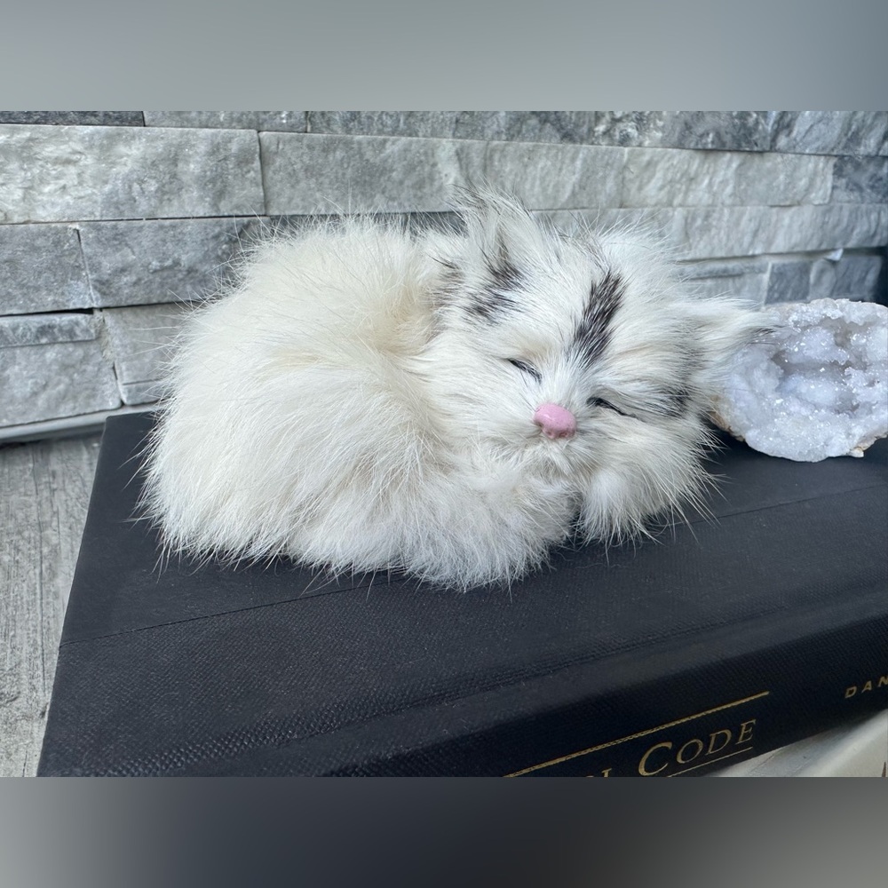 Realistic Sleeping Kitten Cat  Faux  Fur Handmade Cat Lover Collectable